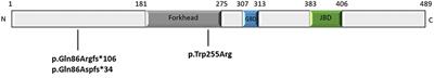 Cognition and Evolution of Movement Disorders of FOXG1-Related Syndrome